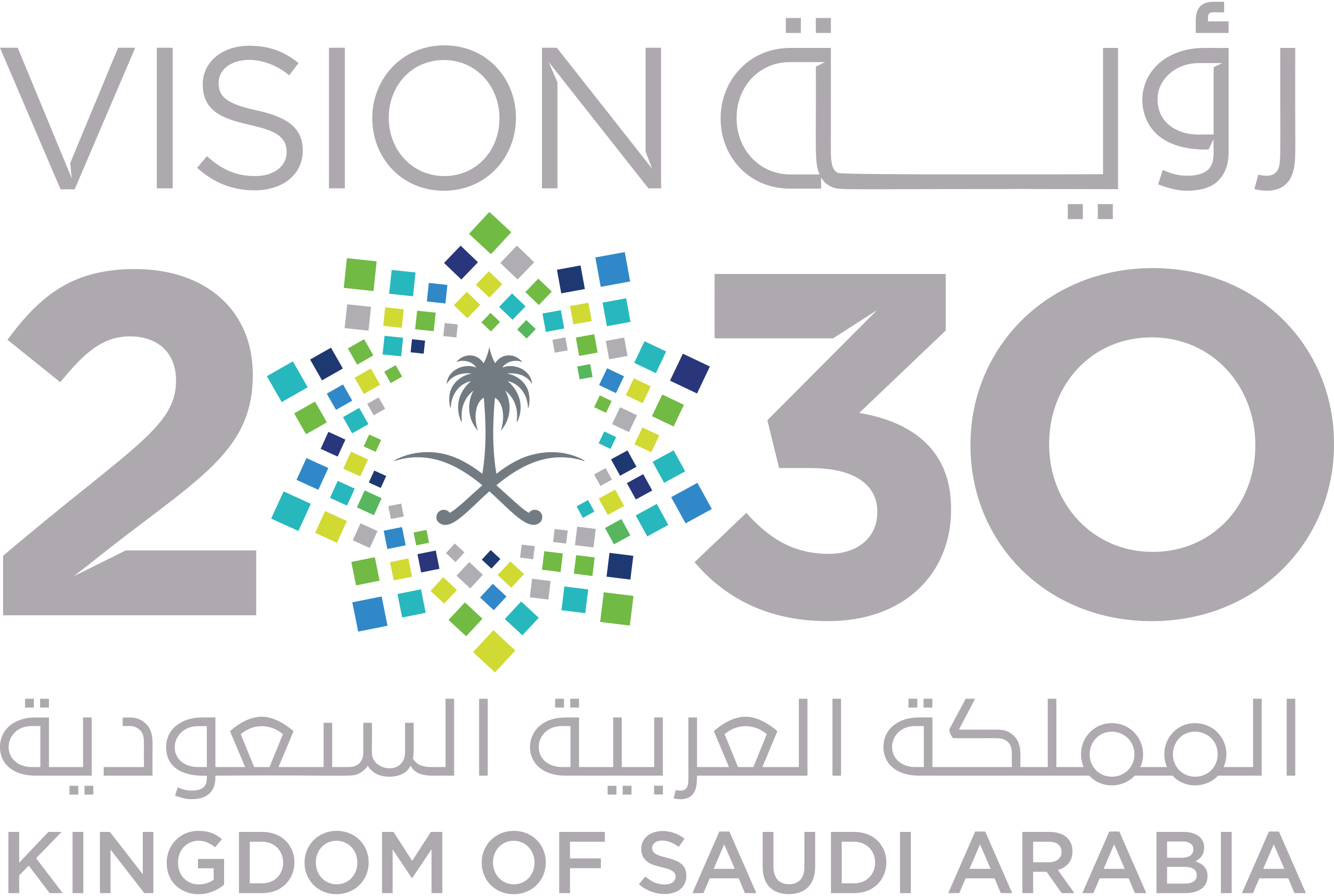 نوتي ورؤية 2030